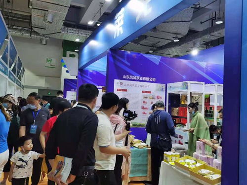 2021濟(jì)南地產(chǎn)品展示交易會(huì) 市場(chǎng)拓展與咨詢策劃服務(wù)的創(chuàng)新融合