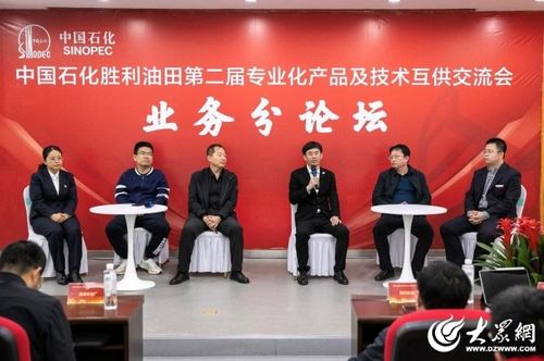首次勝利油田專(zhuān)業(yè)化服務(wù)及產(chǎn)品互供交流展覽會(huì)舉辦業(yè)務(wù)沙龍，電力專(zhuān)場(chǎng)咨詢策劃服務(wù)引領(lǐng)創(chuàng)新浪潮