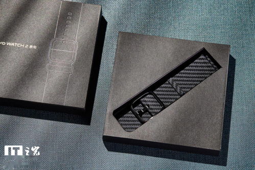 vivo watch 2 尼龍編織表帶圖賞